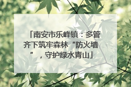 南安市乐峰镇：多管齐下筑牢森林“防火墙”，守护绿水青山