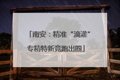 南安：精准“滴灌”专精特新竞跑出圈