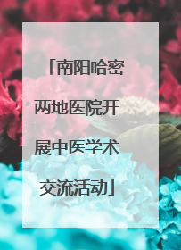 南阳哈密两地医院开展中医学术交流活动