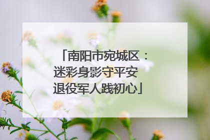 南阳市宛城区：迷彩身影守平安 退役军人践初心