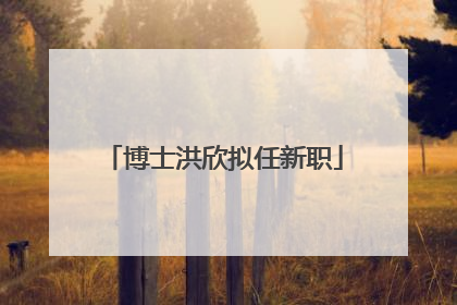 博士洪欣拟任新职