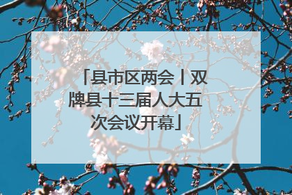 县市区两会丨双牌县十三届人大五次会议开幕