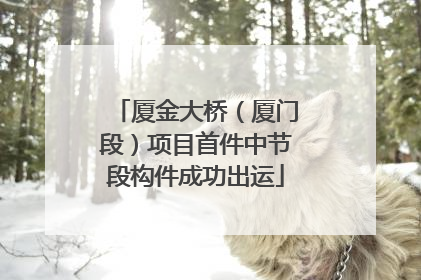 厦金大桥（厦门段）项目首件中节段构件成功出运