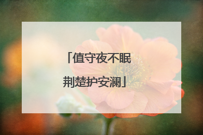 值守夜不眠 荆楚护安澜