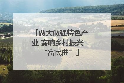 做大做强特色产业 奏响乡村振兴“富民曲”