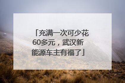 充满一次可少花60多元，武汉新能源车主有福了