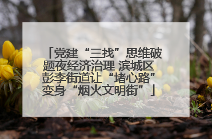 党建“三找”思维破题夜经济治理 滨城区彭李街道让“堵心路”变身“烟火文明街”