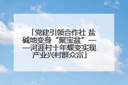 党建引领合作社 盐碱地变身“聚宝盆”——河涯村十年蝶变实现产业兴村群众富