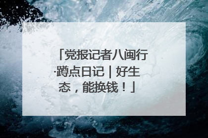 党报记者八闽行·蹲点日记｜好生态，能换钱！