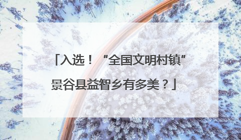 入选！“全国文明村镇”景谷县益智乡有多美？
