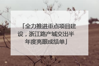 全力推进重点项目建设，浙江路产城交出半年度亮眼成绩单