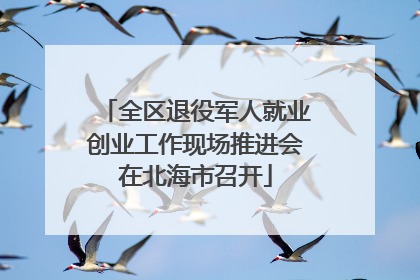 全区退役军人就业创业工作现场推进会在北海市召开