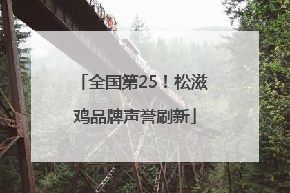 全国第25！松滋鸡品牌声誉刷新