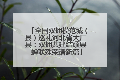 全国双拥模范城（县）巡礼河北省大厂县：双拥共建结硕果 蝉联殊荣谱新篇