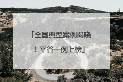 全国典型案例揭晓！平谷一例上榜