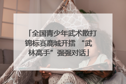 全国青少年武术散打锦标赛鹿城开擂 “武林高手”强强对话