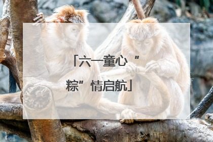 六一童心“粽”情启航