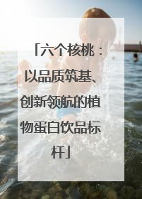 六个核桃：以品质筑基、创新领航的植物蛋白饮品标杆