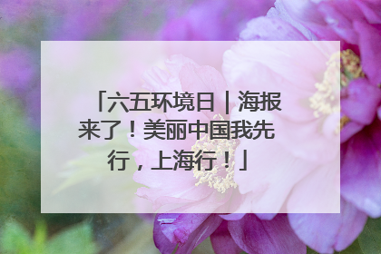 六五环境日｜海报来了！美丽中国我先行，上海行！