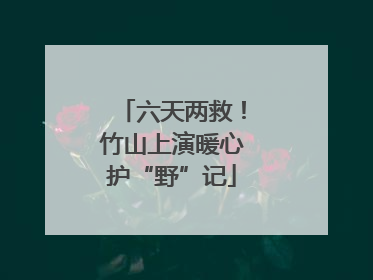 六天两救！竹山上演暖心护“野”记