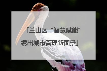 兰山区“智慧赋能”绣出城市管理新图景