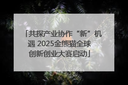 共探产业协作“新”机遇 2025金熊猫全球创新创业大赛启动