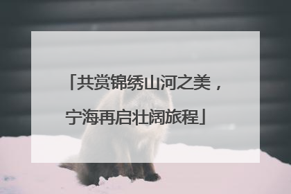 共赏锦绣山河之美，宁海再启壮阔旅程