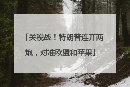 关税战！特朗普连开两炮，对准欧盟和苹果