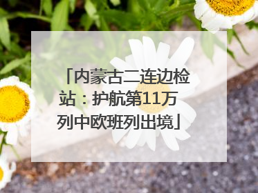 内蒙古二连边检站：护航第11万列中欧班列出境