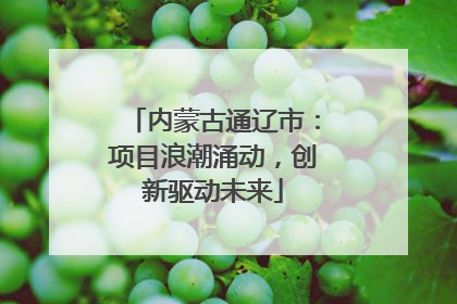 内蒙古通辽市：项目浪潮涌动，创新驱动未来