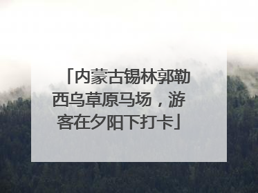 内蒙古锡林郭勒西乌草原马场，游客在夕阳下打卡