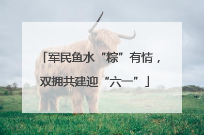 军民鱼水“粽”有情，双拥共建迎“六一”