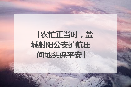 农忙正当时，盐城射阳公安护航田间地头保平安