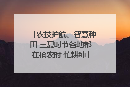 农技护航、智慧种田 三夏时节各地都在抢农时 忙耕种