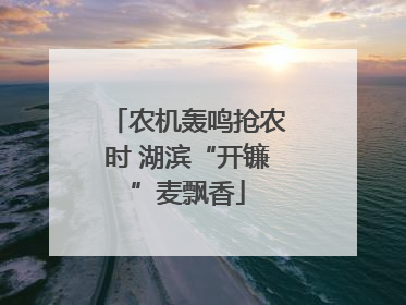 农机轰鸣抢农时 湖滨“开镰”麦飘香