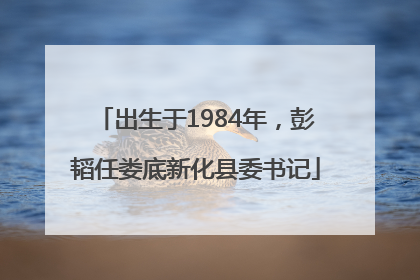 出生于1984年，彭韬任娄底新化县委书记