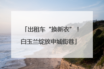 出租车“换新衣”！白玉兰绽放申城街巷