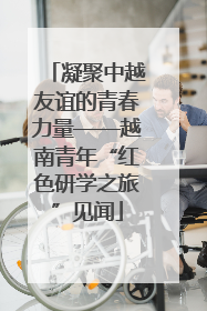 凝聚中越友谊的青春力量——越南青年“红色研学之旅”见闻
