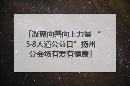 凝聚向善向上力量 “5·8人道公益日”扬州分会场有爱有健康