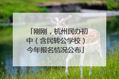 刚刚，杭州民办初中（含民转公学校）今年报名情况公布