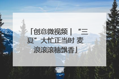 创意微视频｜“三夏”大忙正当时 麦浪滚滚穗飘香