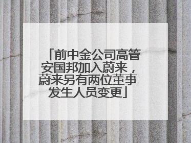 前中金公司高管安国邦加入蔚来，蔚来另有两位董事发生人员变更