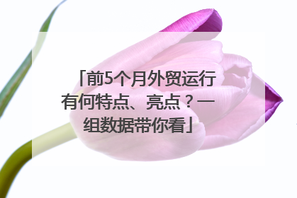 前5个月外贸运行有何特点、亮点？一组数据带你看