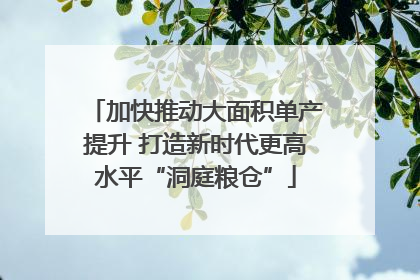 加快推动大面积单产提升 打造新时代更高水平“洞庭粮仓”