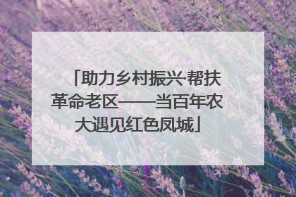 助力乡村振兴·帮扶革命老区——当百年农大遇见红色凤城