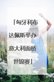 匈牙利布达佩斯举办意大利面桥世锦赛