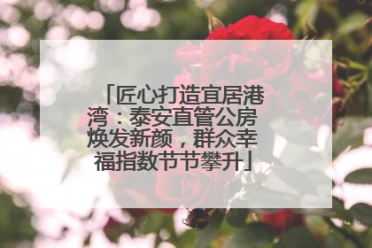 匠心打造宜居港湾：泰安直管公房焕发新颜，群众幸福指数节节攀升
