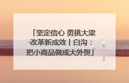 坚定信心 勇挑大梁·改革新成效丨白沟：把小商品做成大外贸