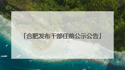 合肥发布干部任前公示公告