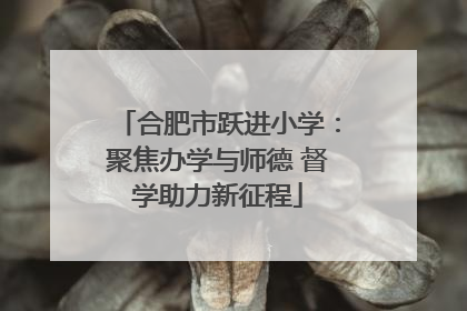 合肥市跃进小学：聚焦办学与师德 督学助力新征程